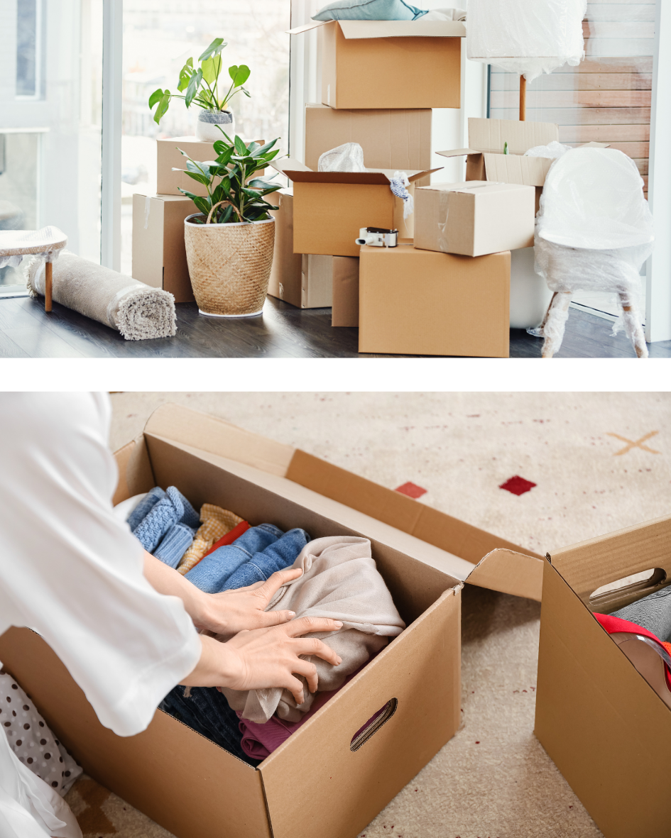 Moving boxes and packing moving boxes for Hi Tidy Declutterng services, Northern Beaches in Sydney